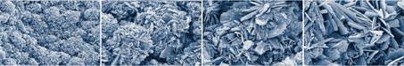 REM-Aufnahmen der BONIT®-Oberfläche (elektrochemische Calcium-Phosphat-Schicht)