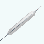Coated Balloon Catheter