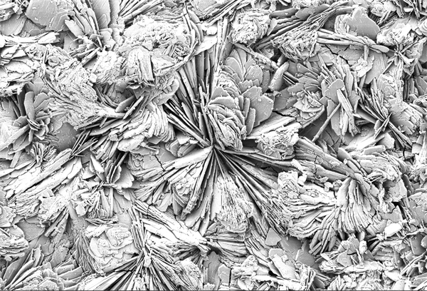 REM-Aufnahme einer additiven Oberfläche (BONITex®)