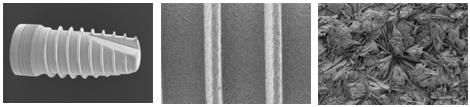 REM-Aufnahmen der BONITex®-Oberfläche (HA-gestrahlte, zweifach geätzte Oberfläche, die zusätzlich mit einer dünnen bioresorbierbaren Calciumphosphatschicht überzogen wird)