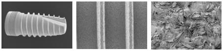 SEM pictures of the CELLBIOTex® surface SEM pictures of the CELLBIOTex® surface