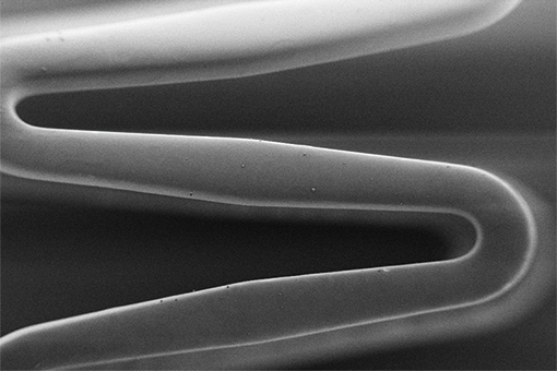 SEM image of coated stent