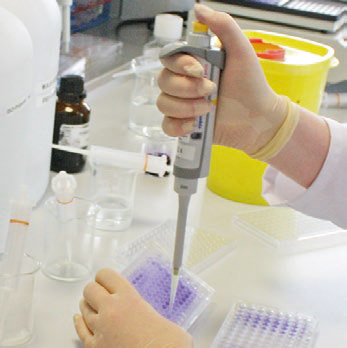 Laboratory Services