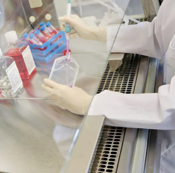 Laboratory Services